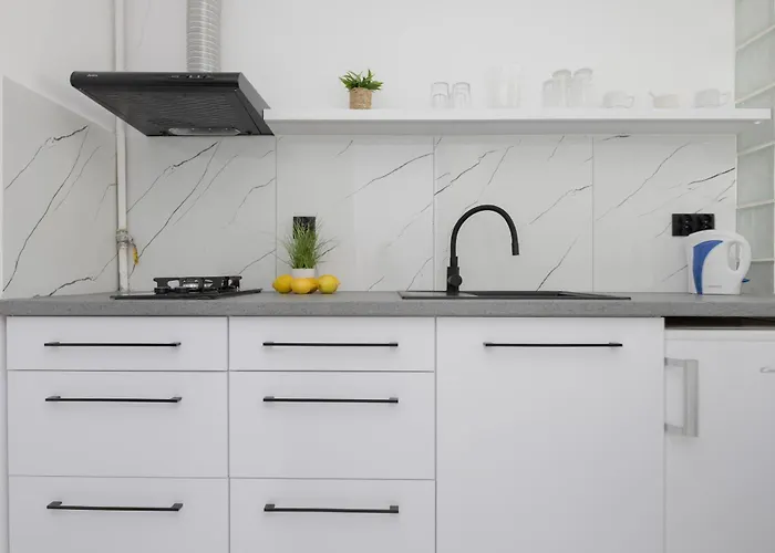 Bright Wola Ideal For Remote Work By Renters